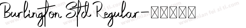Burlington Std Regular字体转换